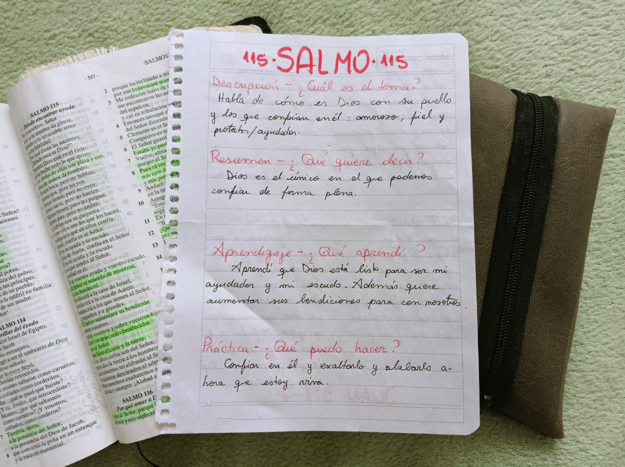 Salmo115